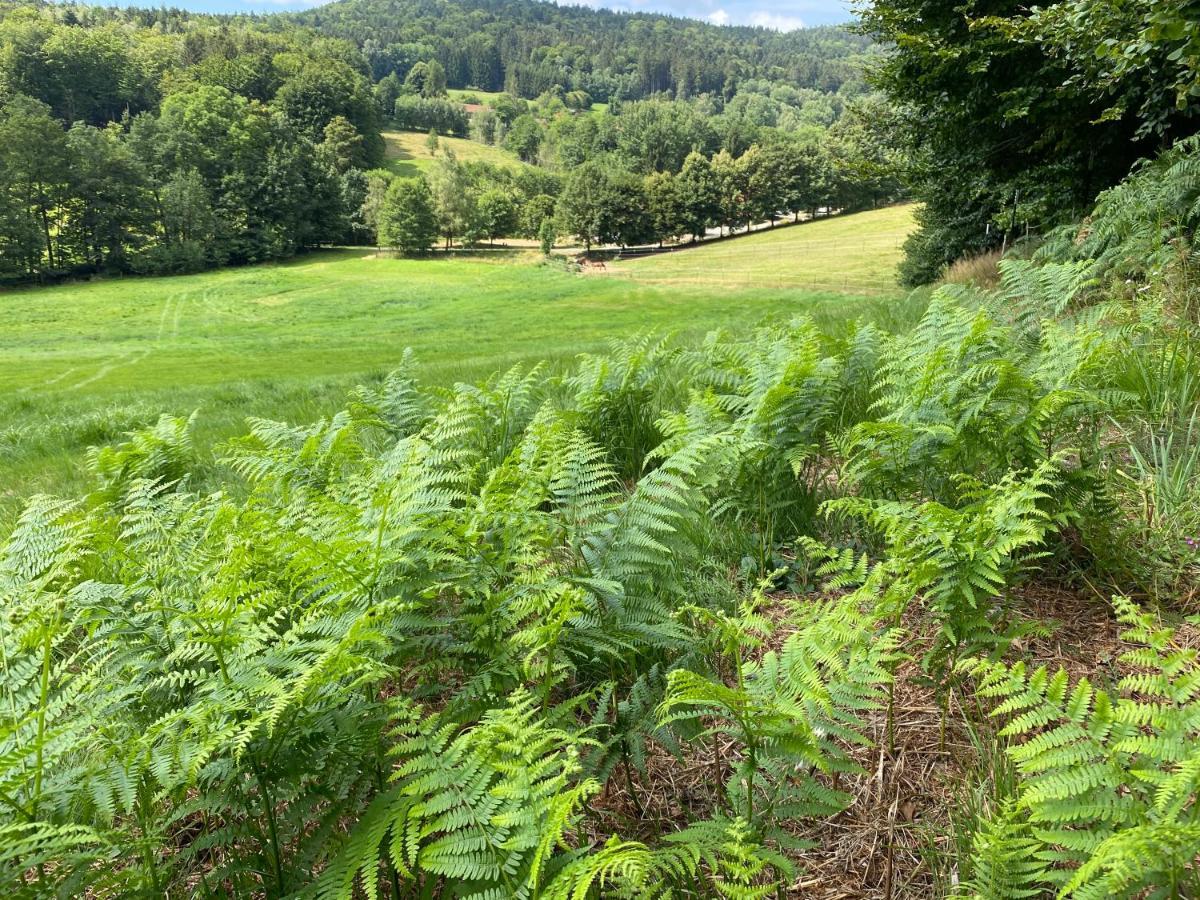 Hüttenflair im Gut Sonnenwald Schöllnach Exterior foto